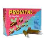 Provital Infantil Nale 20 ampollas